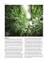 Page: - 50 | High Times