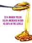 Page: - 6 | High Times