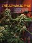 Page: - 67 | High Times