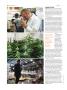 Page: - 76 | High Times