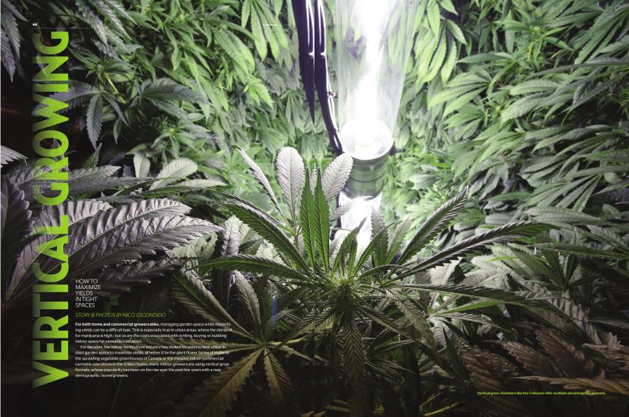 VERTICAL GROWING