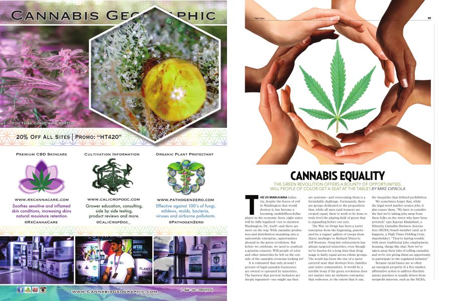 CANNABIS EQUALITY