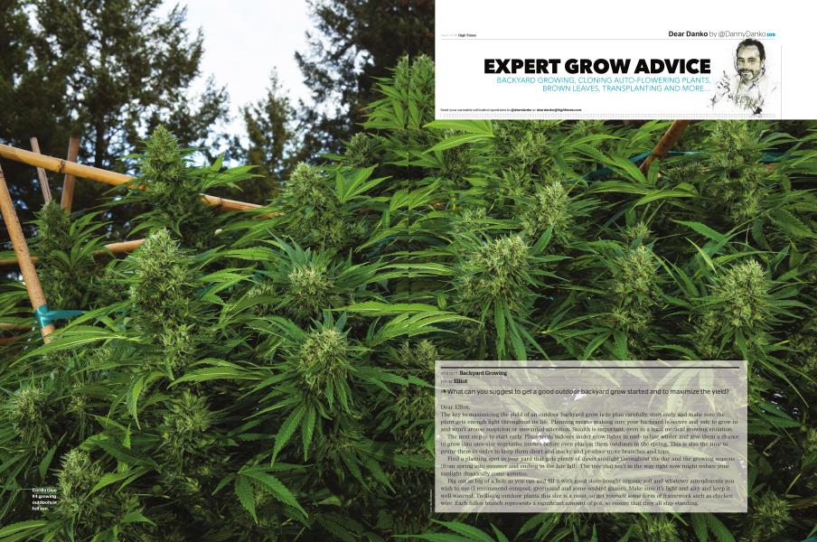 EXPERT GROW ADVICE