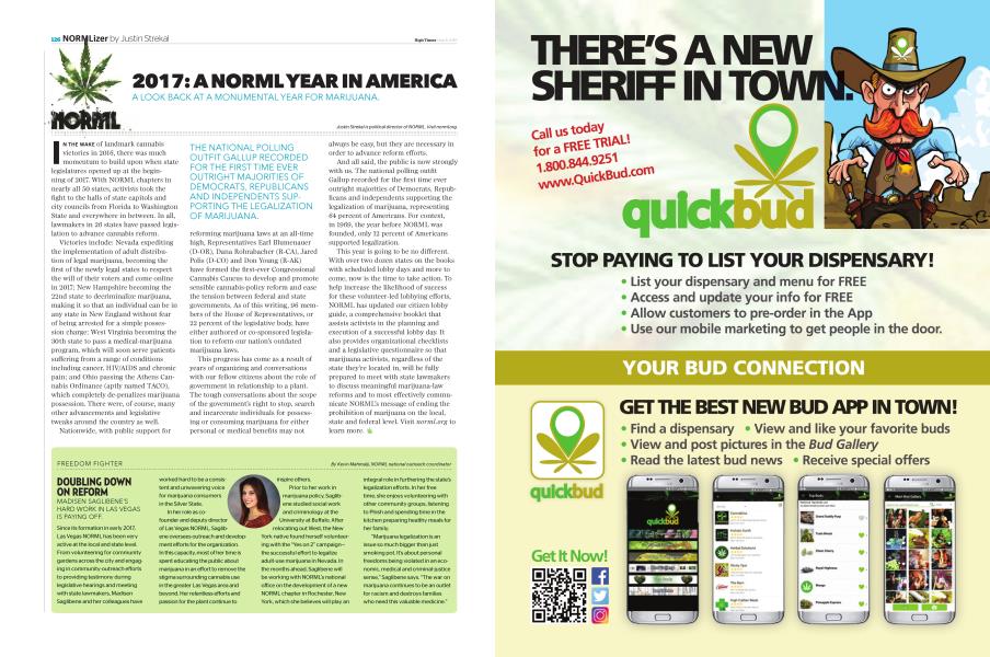 2017: A NORML YEAR IN AMERICA
