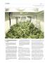 Page: - 110 | High Times
