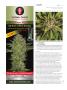 Page: - 112 | High Times