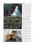 Page: - 76 | High Times