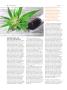 Page: - 86 | High Times