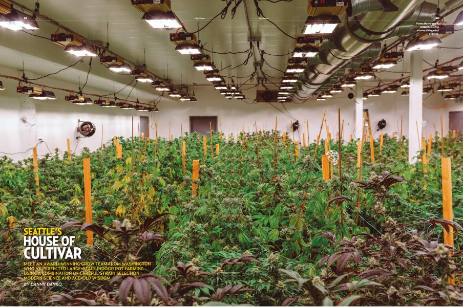 SEATTLE'S HOUSE OF CULTIVAR