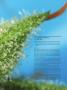 Page: - 109 | High Times