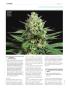 Page: - 110 | High Times