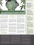 Page: - 125 | High Times