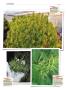 Page: - 132 | High Times
