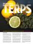 Page: - 44 | High Times