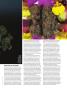 Page: - 45 | High Times