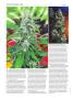 Page: - 48 | High Times