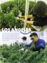 Page: - 63 | High Times