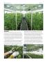 Page: - 66 | High Times