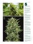 Page: - 70 | High Times