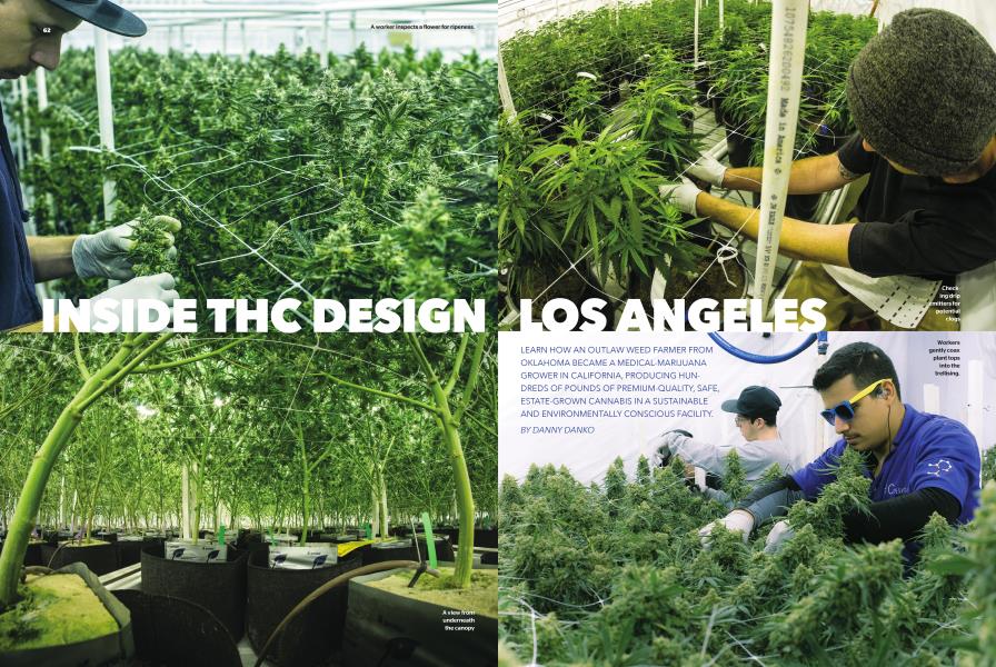 INSIDE THC DESIGN LOS ANGELES