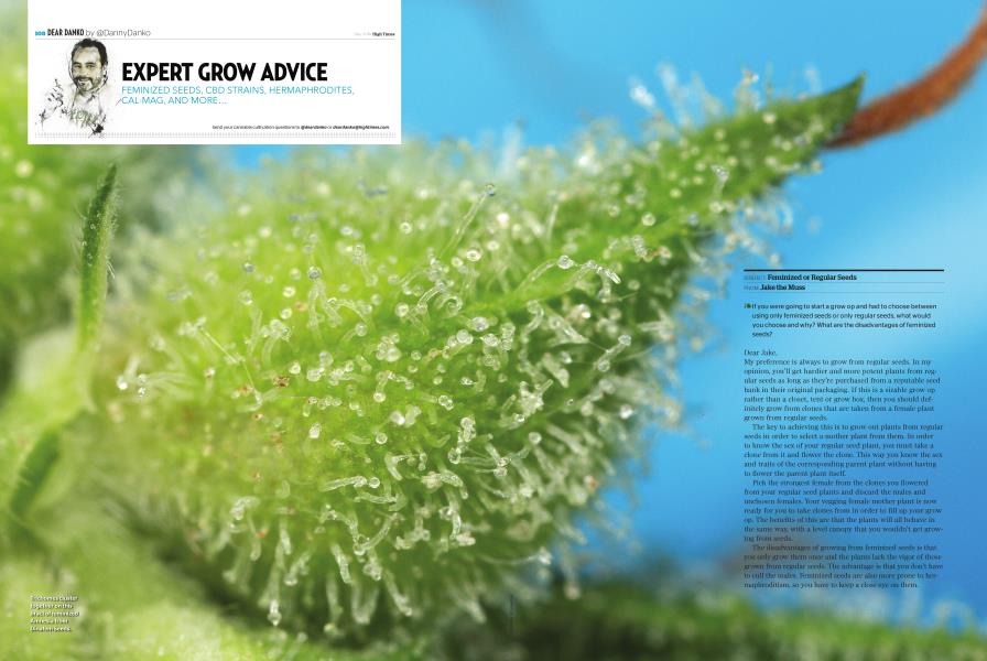 EXPERT GROW ADVICE
