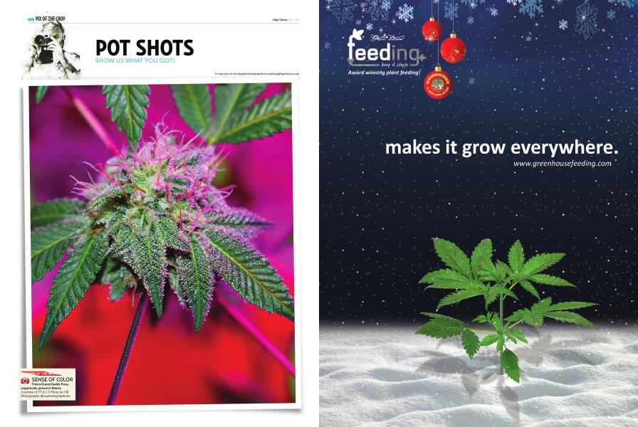POT SHOTS High Times May 2018