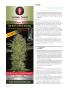 Page: - 112 | High Times