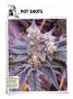 Page: - 130 | High Times