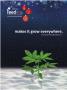 Page: - 131 | High Times