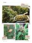 Page: - 132 | High Times