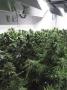 Page: - 18 | High Times