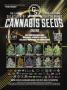 Page: - 31 | High Times