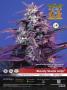 Page: - 35 | High Times