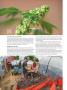 Page: - 62 | High Times
