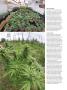 Page: - 64 | High Times