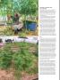 Page: - 70 | High Times