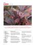 Page: - 8 | High Times