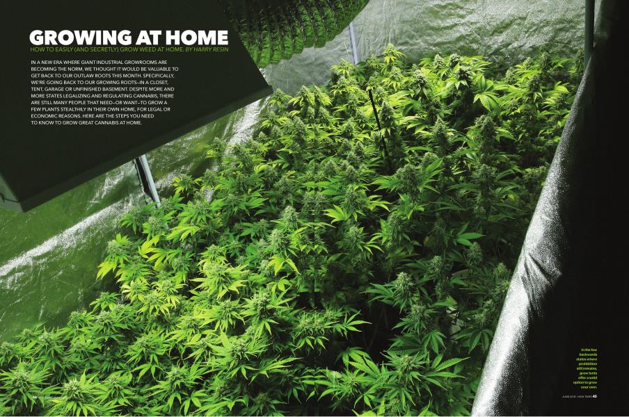 GROWING AT HOME