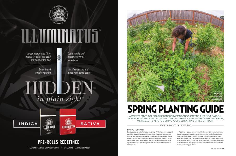 SPRING PLANTING GUIDE