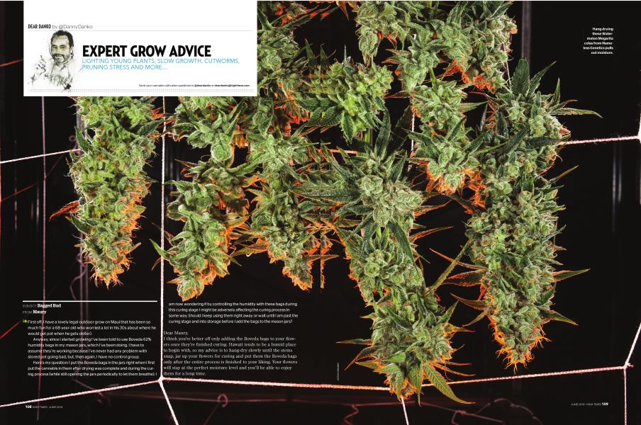 EXPERT GROW ADVICE
