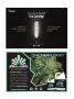 Page: - 113 | High Times