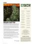Page: - 12 | High Times