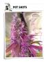 Page: - 130 | High Times