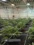 Page: - 20 | High Times