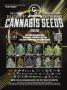 Page: - 31 | High Times
