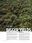 Page: - 44 | High Times