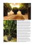 Page: - 46 | High Times