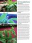 Page: - 48 | High Times