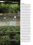 Page: - 50 | High Times