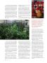 Page: - 60 | High Times